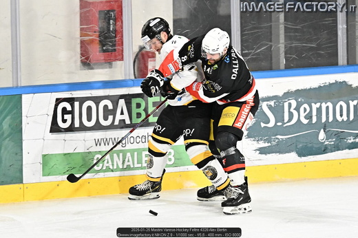2025-01-25 Mastini Varese-Hockey Feltre 4328 Alex Bertin